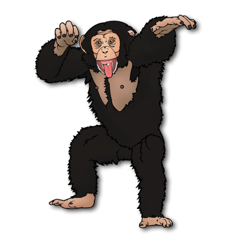 Ape