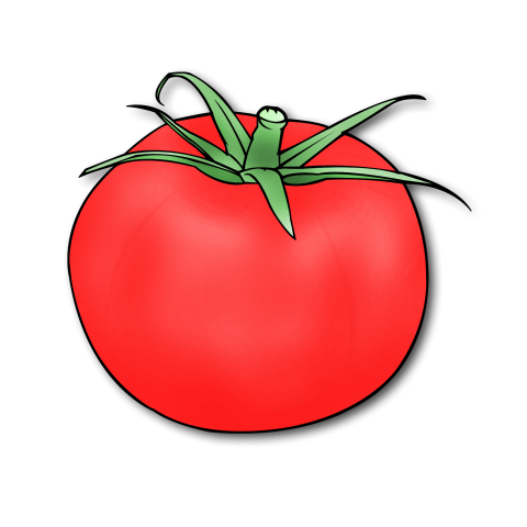 tomato